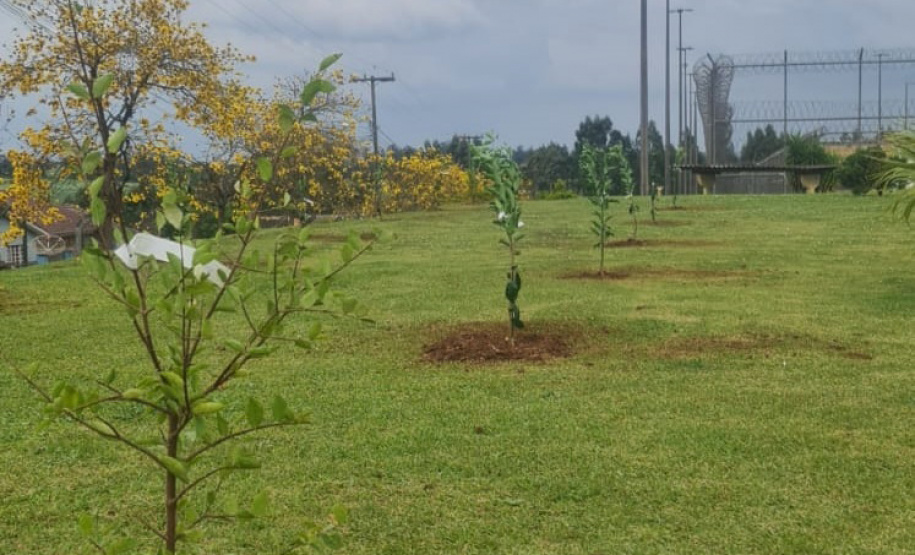 Polícia Penal lança projeto ambiental em conjunto com Prefeitura de Ponta Grossa e a Rotary Clube