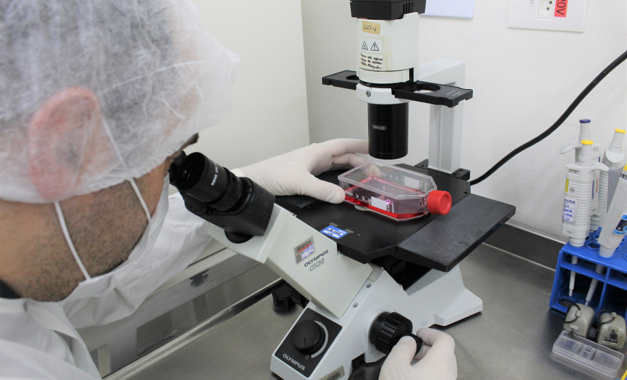 China passa a aceitar laudos do Tecpar para sorologia antirrábica veterinária