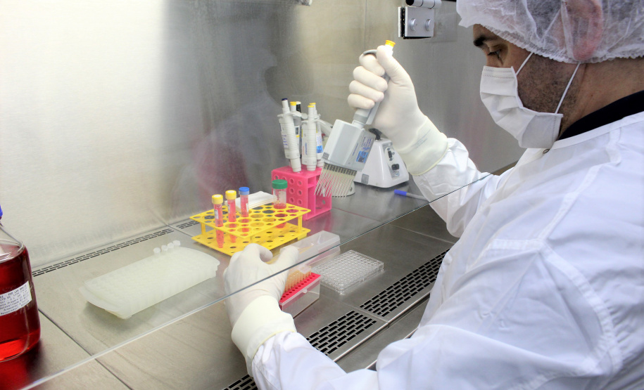 China passa a aceitar laudos do Tecpar para sorologia antirrábica veterinária