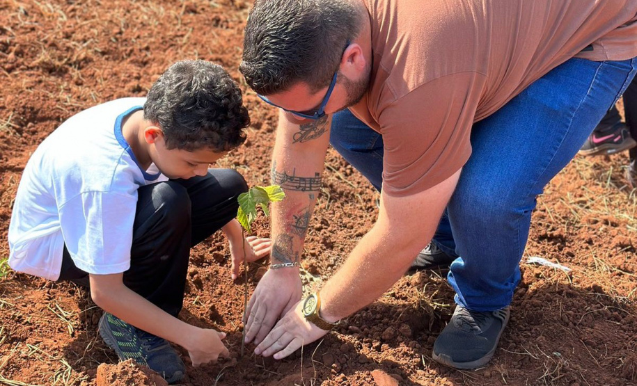Instituto Água e Terra (IAT) já distribuiu mais de 8,5 milhões de mudas de espécies nativas desde 2019 , 70 mil delas apenas nesta semana, em comemoração ao Dia da Árvore.