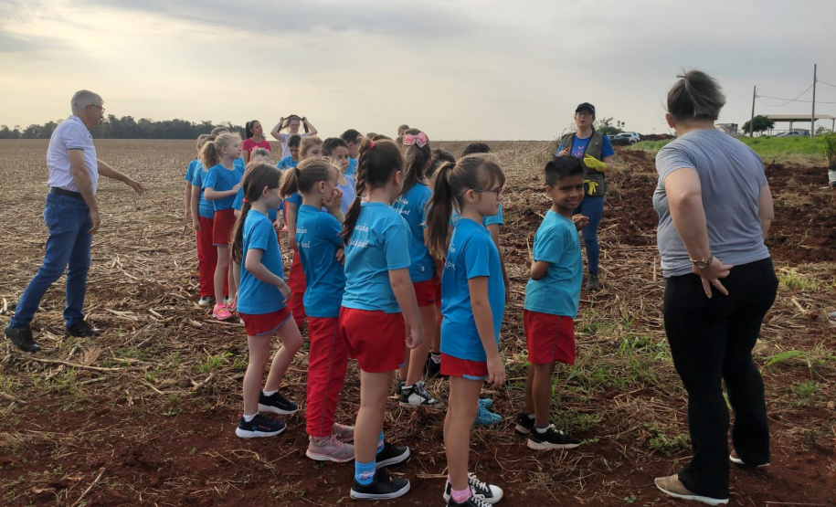 Instituto Água e Terra (IAT) já distribuiu mais de 8,5 milhões de mudas de espécies nativas desde 2019 , 70 mil delas apenas nesta semana, em comemoração ao Dia da Árvore.