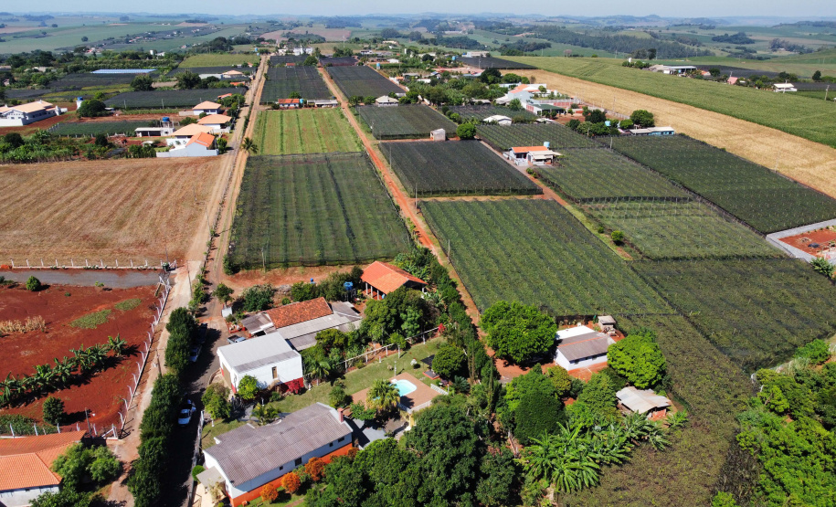 Com reconhecimento nacional, Marialva reforça vocação como maior produtora de uvas do Paraná