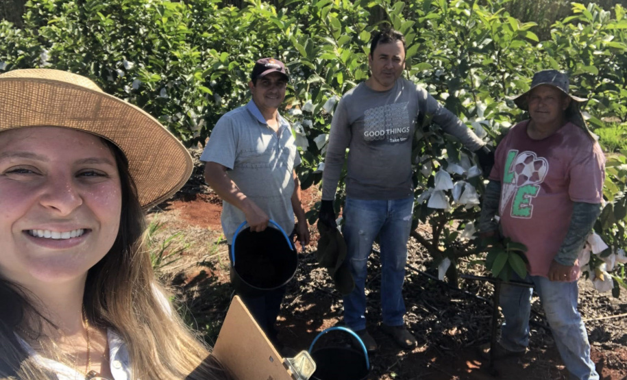Dedicação dos produtores faz Carlópolis ser conhecida como Capital Nacional da Goiaba de Mesa.