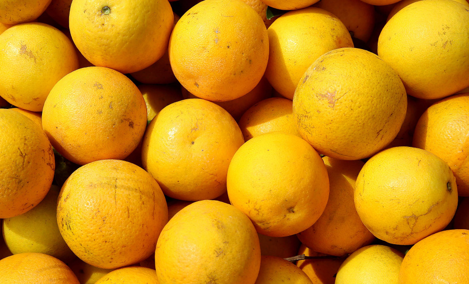 Estudo conduzido por técnicos do IDR indica melhores opções de laranja-pera para agricultura