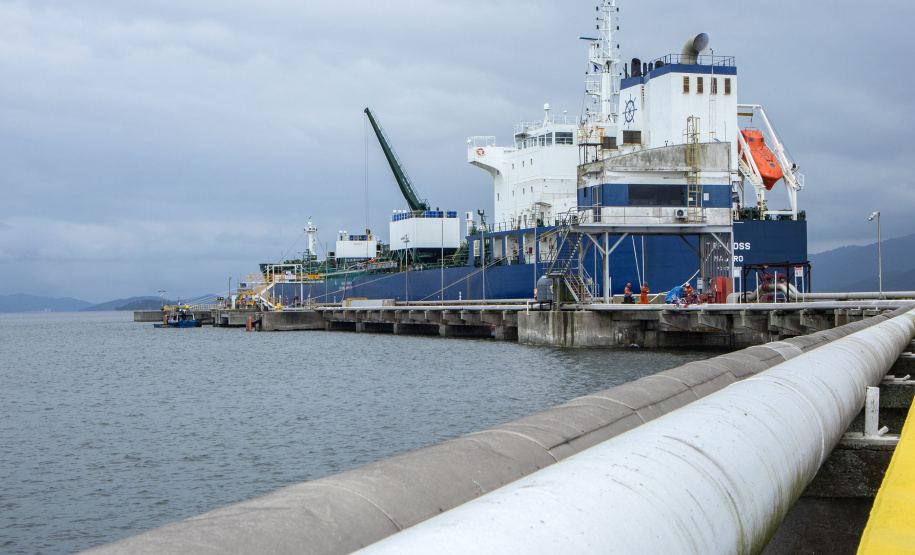 Complexo soja movimenta US$ 34 milhões por dia no Porto de Paranaguá