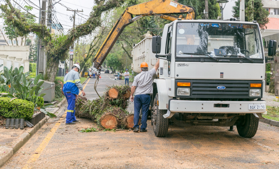 Temporais com ventos fortes afetam rede de energia com cada vez mais intensidade