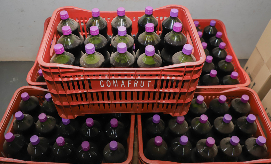 Com reconhecimento nacional, Marialva reforça vocação como maior produtora de uvas do Paraná