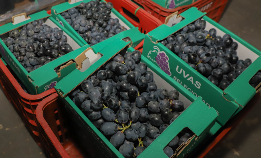Com reconhecimento nacional, Marialva reforça vocação como maior produtora de uvas do Paraná