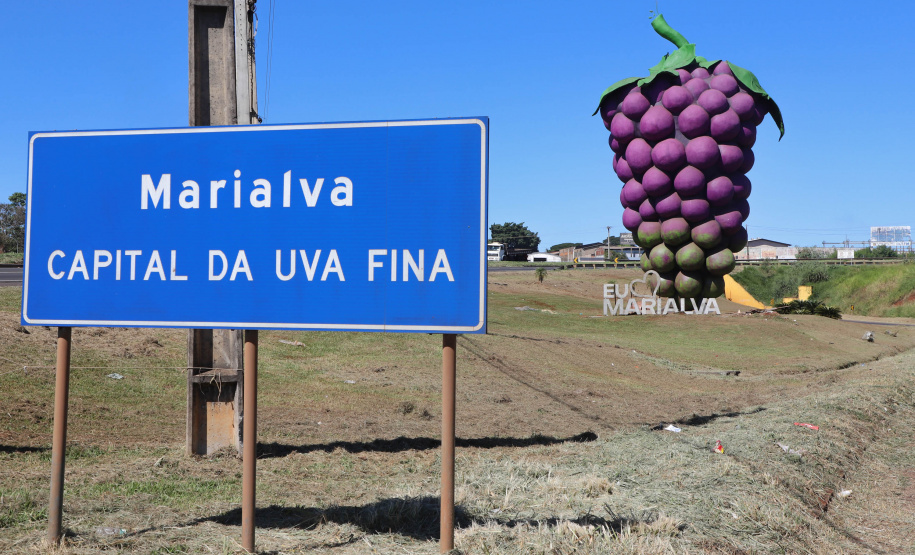 Com reconhecimento nacional, Marialva reforça vocação como maior produtora de uvas do Paraná