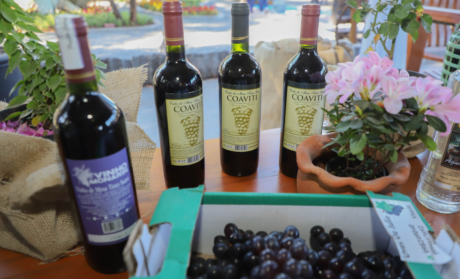 Com reconhecimento nacional, Marialva reforça vocação como maior produtora de uvas do Paraná