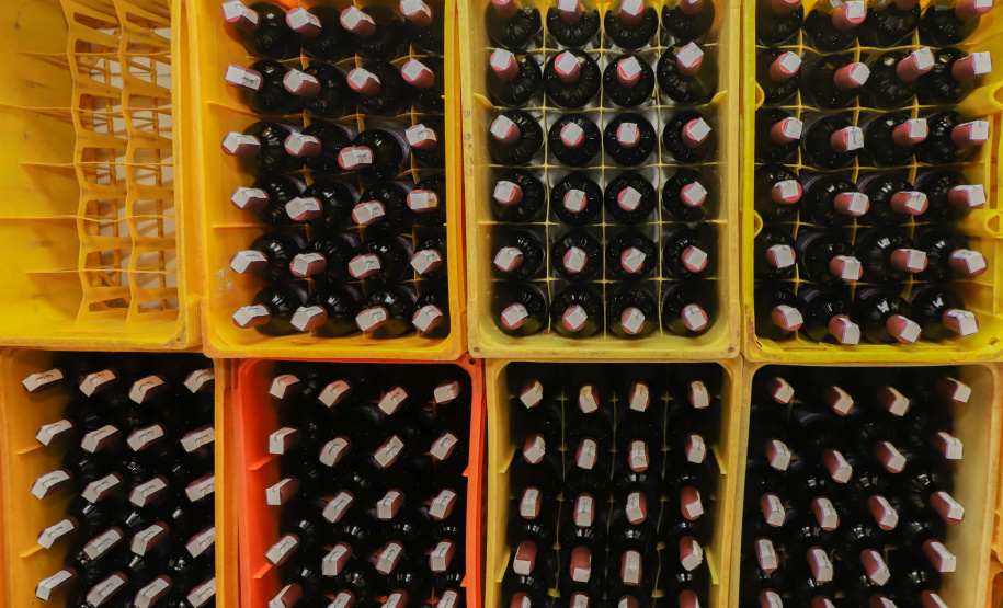 Com reconhecimento nacional, Marialva reforça vocação como maior produtora de uvas do Paraná