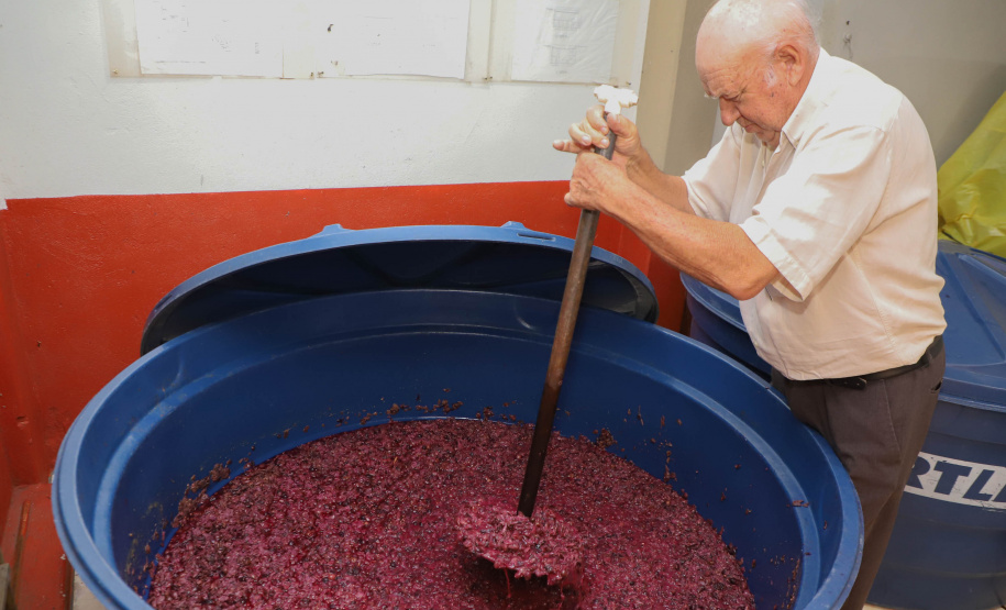 Com reconhecimento nacional, Marialva reforça vocação como maior produtora de uvas do Paraná