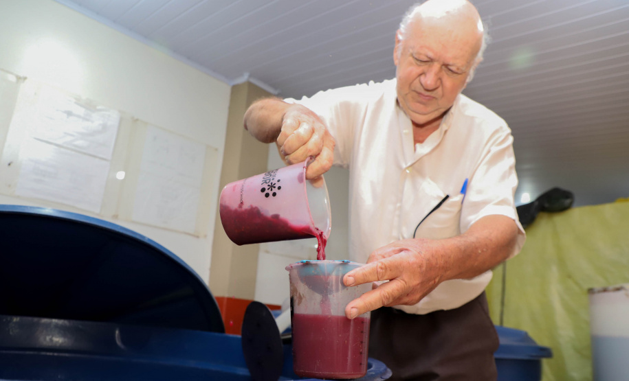 Com reconhecimento nacional, Marialva reforça vocação como maior produtora de uvas do Paraná