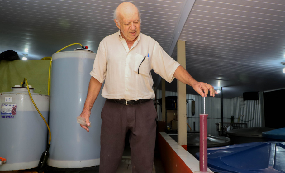 Com reconhecimento nacional, Marialva reforça vocação como maior produtora de uvas do Paraná