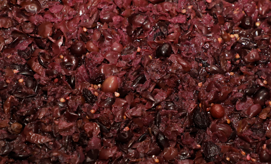 Com reconhecimento nacional, Marialva reforça vocação como maior produtora de uvas do Paraná