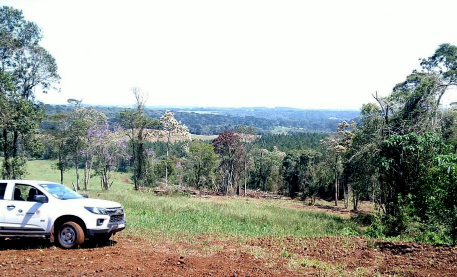 A sétima edição da Operação Mata Atlântica em Pé aplicou mais de R$ 28 milhões em multas por desmatamento ilegal no Paraná.