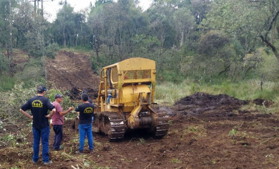 A sétima edição da Operação Mata Atlântica em Pé aplicou mais de R$ 28 milhões em multas por desmatamento ilegal no Paraná.