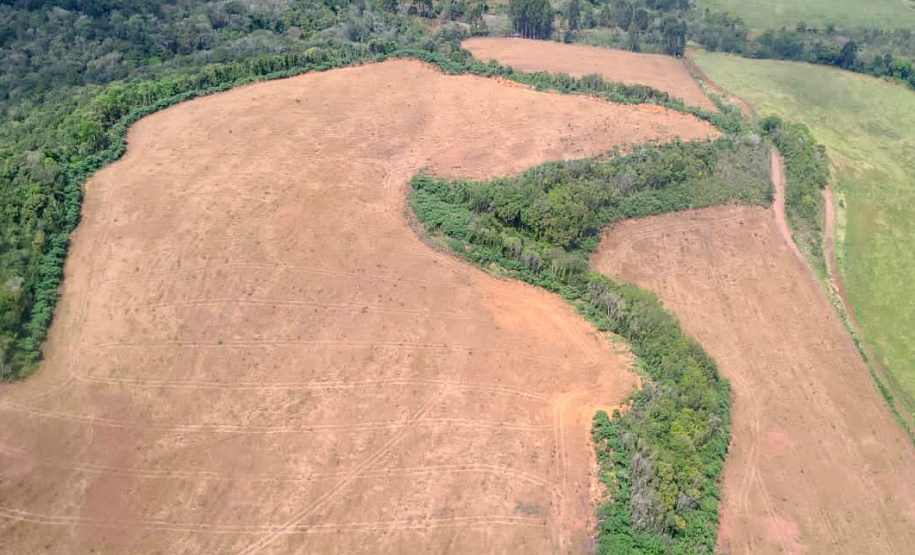 A sétima edição da Operação Mata Atlântica em Pé aplicou mais de R$ 28 milhões em multas por desmatamento ilegal no Paraná.