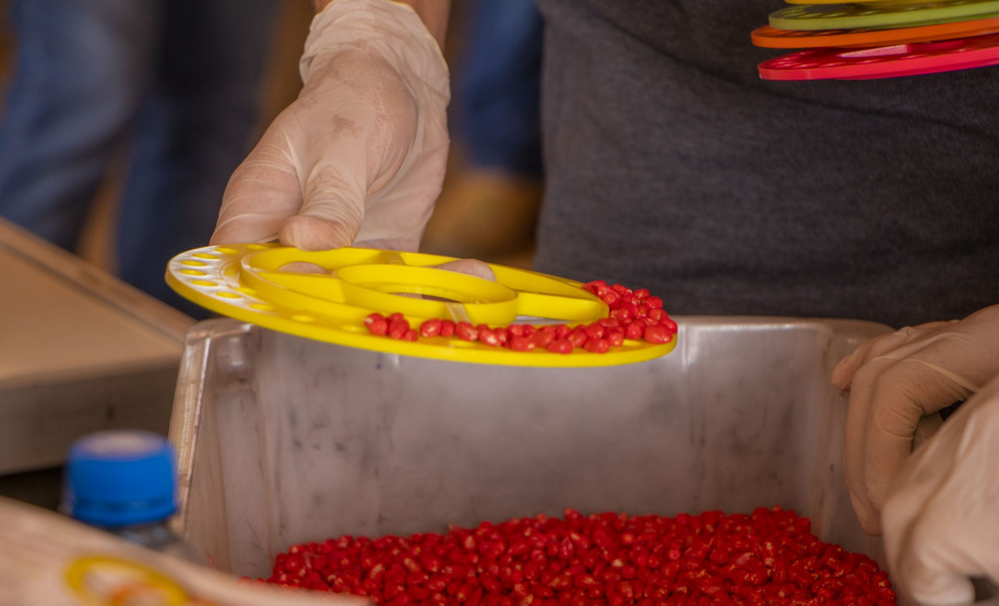 Com 1.750 alunos formados, curso de Agronomia da UEPG completa 40 anos