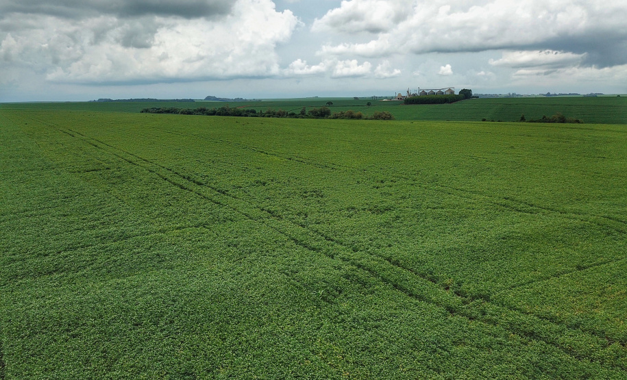 Boletim agrometeorológico