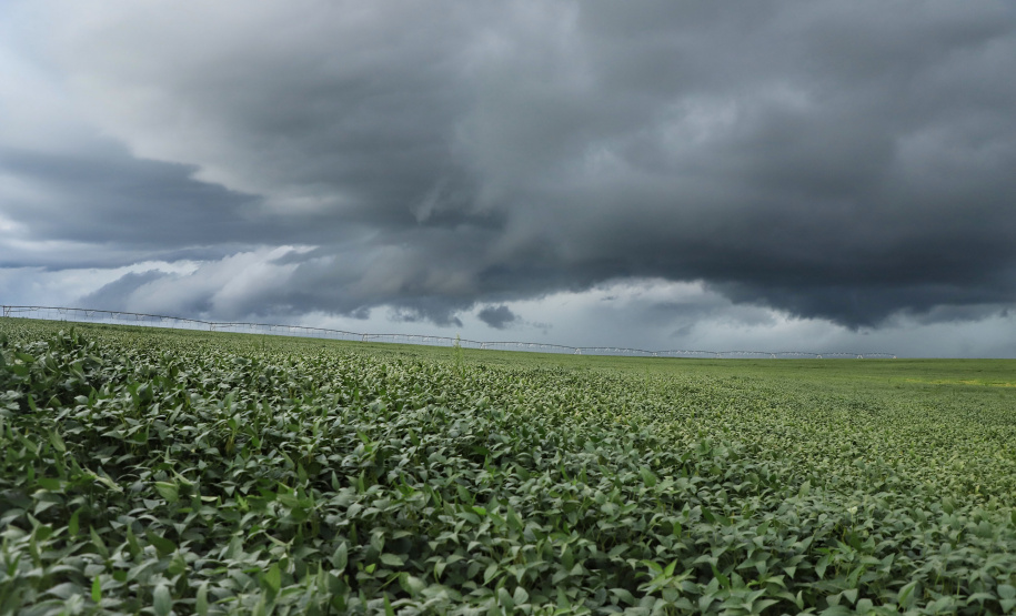 Boletim agrometeorológico