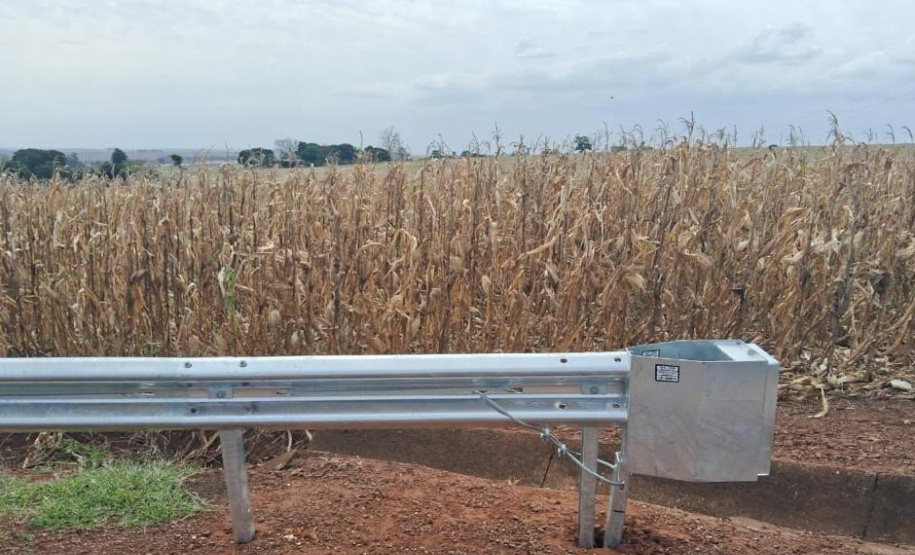 Rodovia entre Doutor Camargo e Floresta tem obras de segurança viária e recuperação de erosão