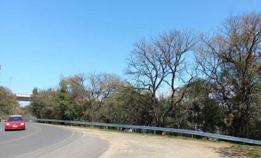 Rodovia em União da Vitória recebe reforço de segurança viária próximo ao Rio Iguaçu