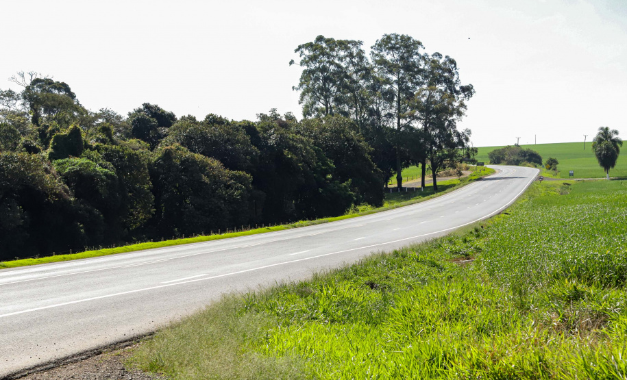 Lote 2 vai restaurar e duplicar ligação entre Jaguariaíva e Jacarezinho