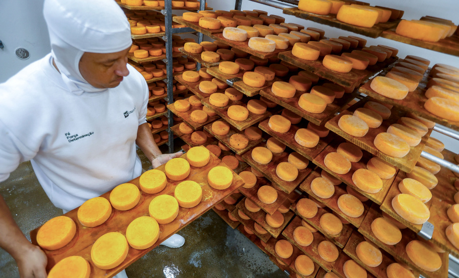 indicação geografica