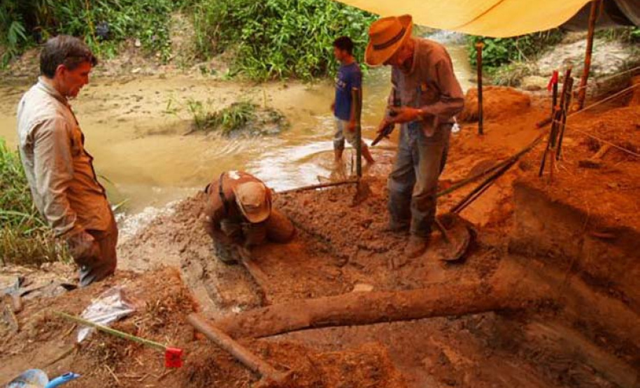 Casa Gomm abre exposição sobre canoa ancestral encontrada em sítio arqueológico