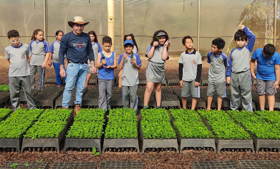 Estado supera meta e distribui mais de 97 mil mudas durante a Semana da Árvore