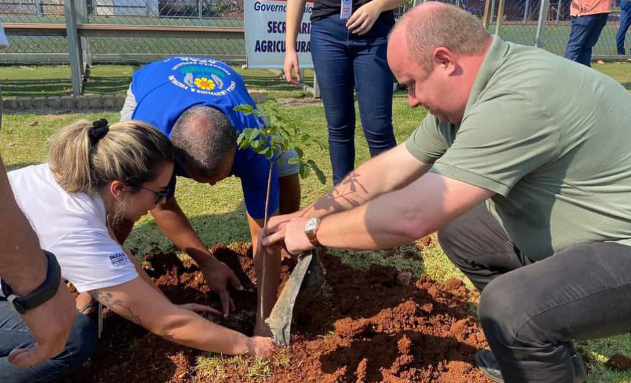 Estado supera meta e distribui mais de 97 mil mudas durante a Semana da Árvore