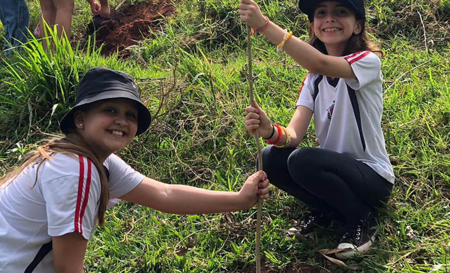 Estado supera meta e distribui mais de 97 mil mudas durante a Semana da Árvore