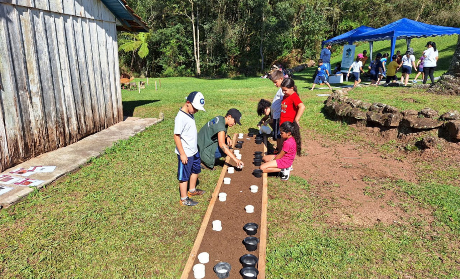 Estado supera meta e distribui mais de 97 mil mudas durante a Semana da Árvore