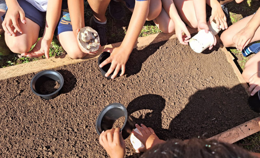 Estado supera meta e distribui mais de 97 mil mudas durante a Semana da Árvore