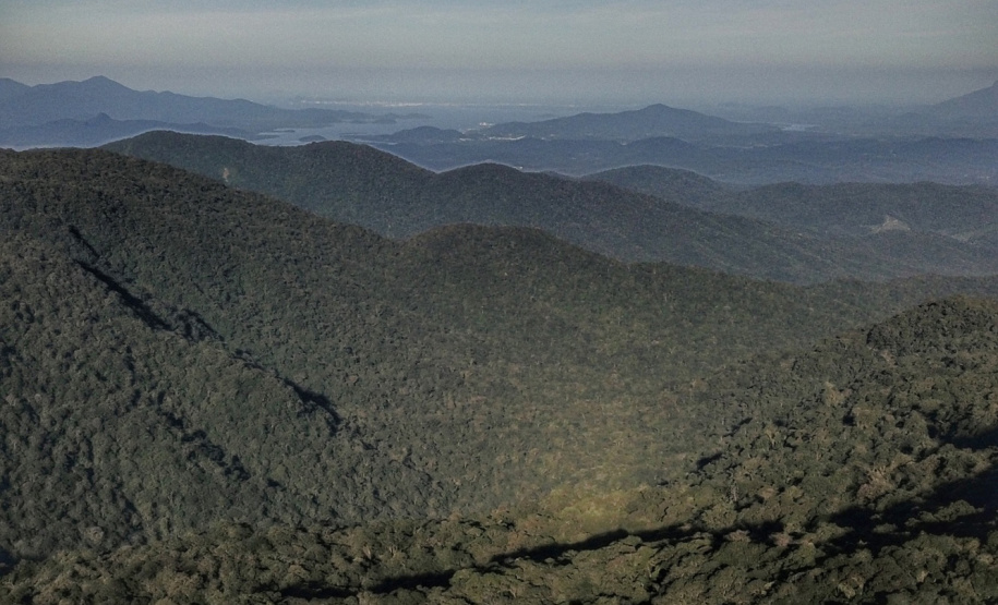 Por causa da atuação das Unidades de Conservação, 98 municípios do Paraná possuem taxas elevadas de absorção de gases do efeito estufa.