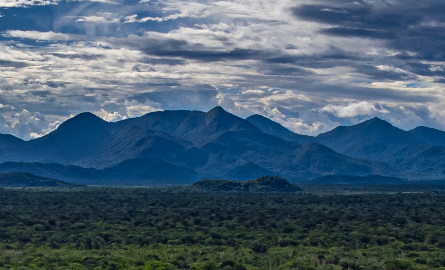 Por causa da atuação das Unidades de Conservação, 98 municípios do Paraná possuem taxas elevadas de absorção de gases do efeito estufa.