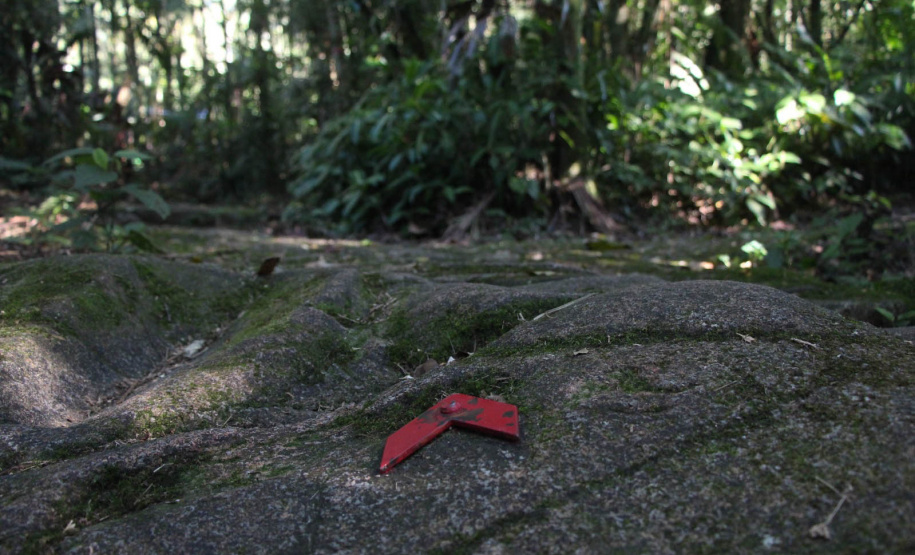 As 28 Unidades de Conservação do Paraná abertas à visitação possuem trilhas como um dos principais atrativos naturais.