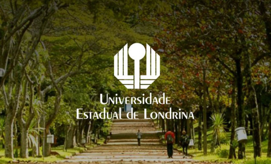 Universidades oferecem oportunidades para mobilidade internacional