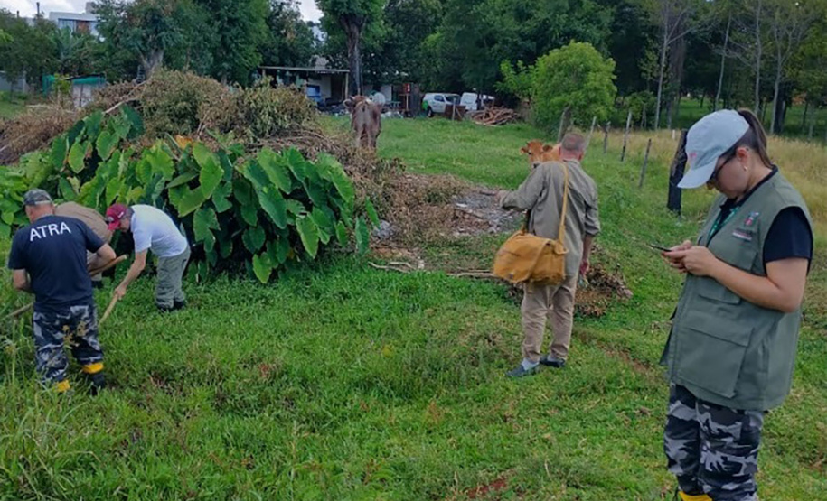 Saúde abre inscrições para curso de formação em Agentes de Combate às Endemias