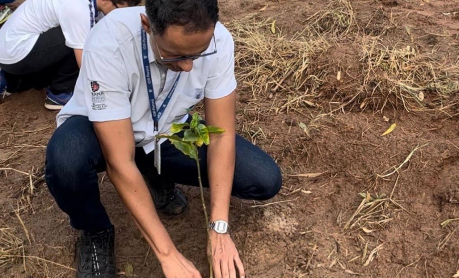 No Dia da Árvore, Estado completa meta de mil nascentes de água protegidas