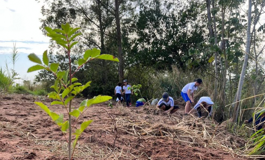 No Dia da Árvore, Estado completa meta de mil nascentes de água protegidas