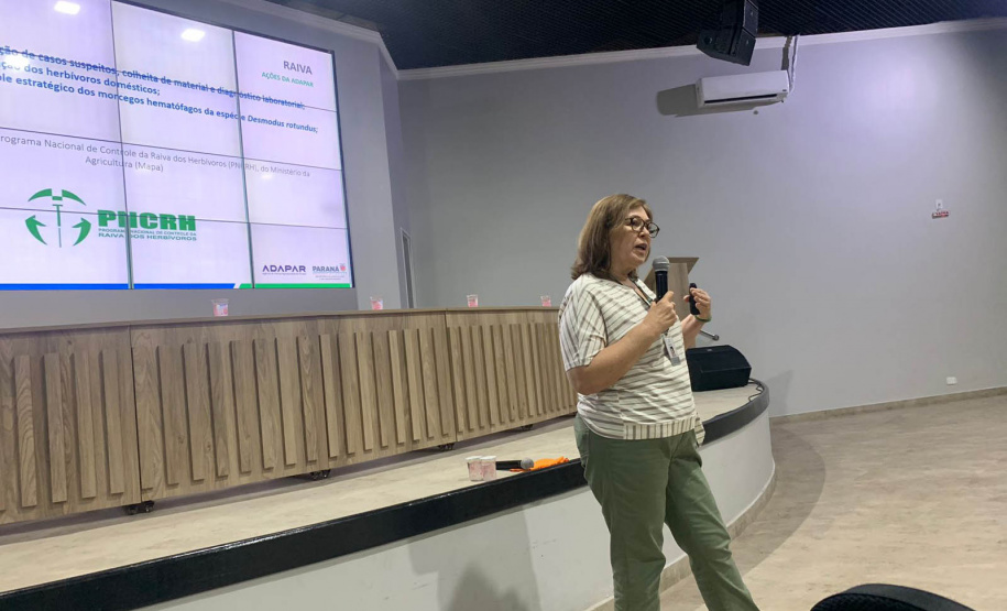 Governo realiza encontro para fortalecer informações sobre a raiva