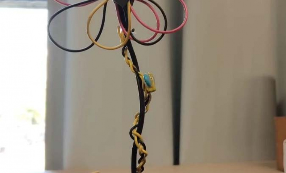 Ecossistema de inovação paranaense vai promover ações de educação, ciência e tecnologia no museu