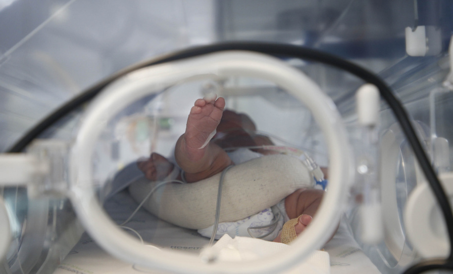 Paraná é o estado que mais realiza consultas de pré-natal por gestante no Brasil