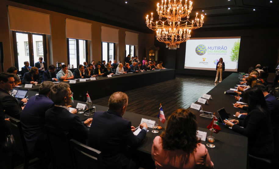 Equipe do Paraná ajuda a elaborar políticas públicas do Consórcio de Integração Sul e Sudeste