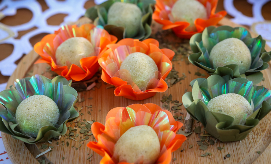 Tradicional erva-mate de São Mateus do Sul se reinventa e ganha novos mercados