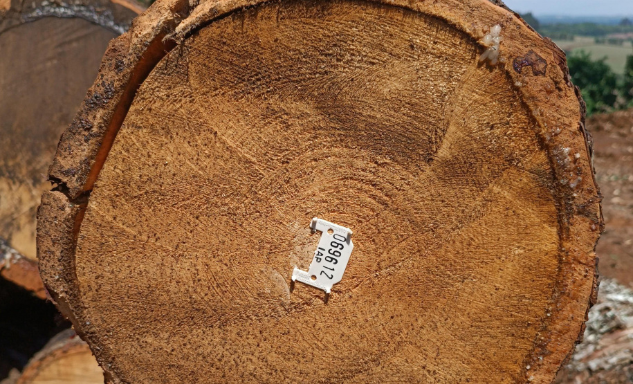 Apreensão Araucária IAT