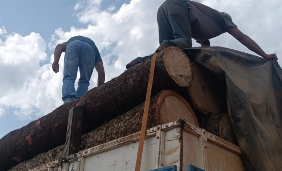 Apreensão Araucária IAT