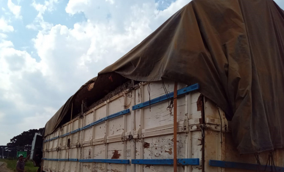 Apreensão Araucária IAT